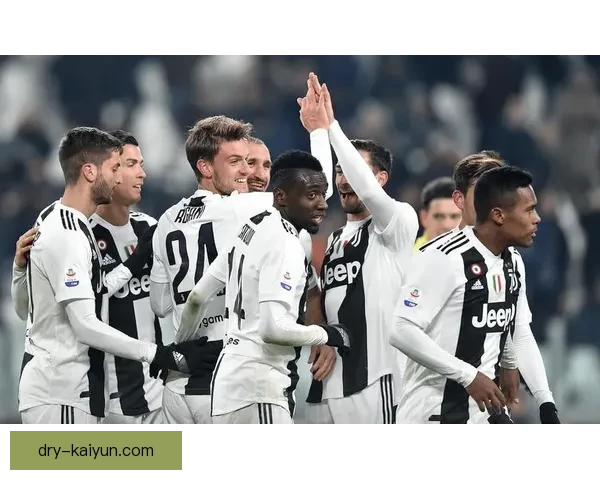 乌迪内斯球队结构分析：新赛季阵容变化与战术布局呈现竞争力增强趋势